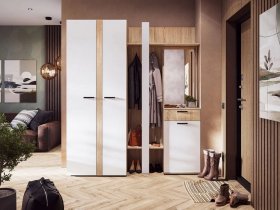 Модульная прихожая Санса (дуб сонома/белый) в Жуланке - zhulanka.mebel-nsk.ru | фото